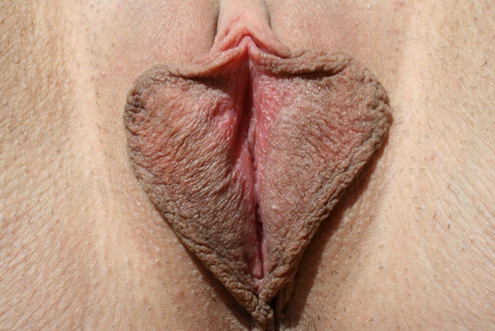 Beautiful neat sex lips