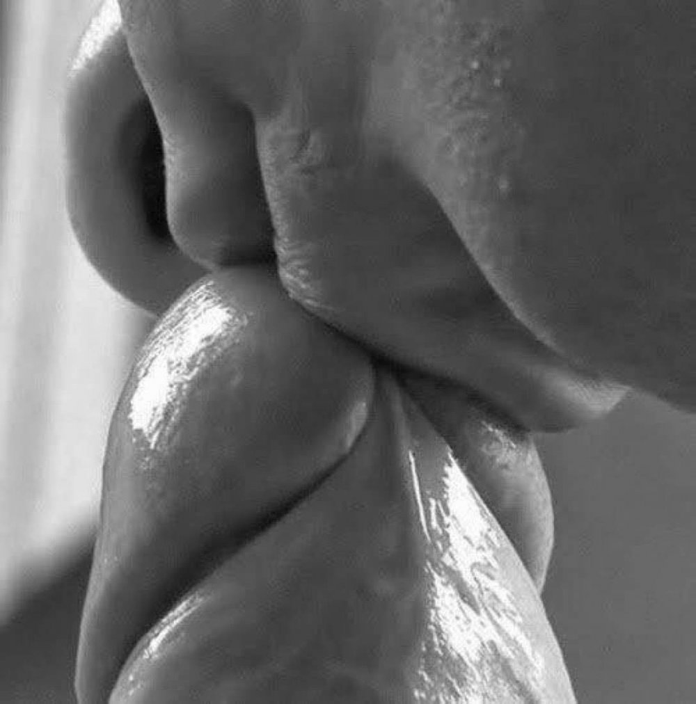 Erotic kiss of a member