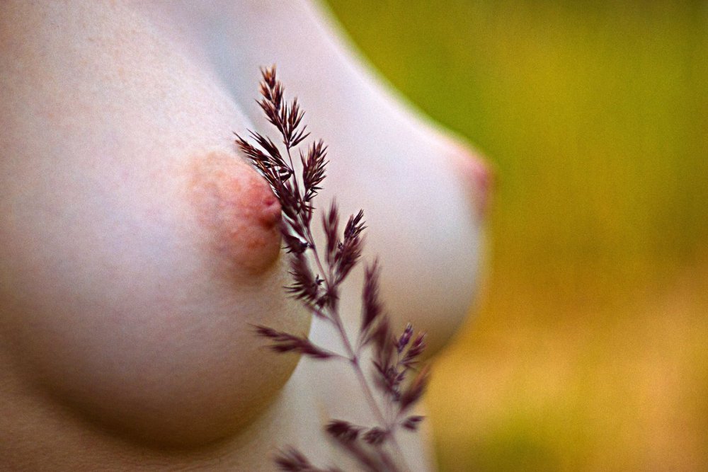 Women's nipple macro photography