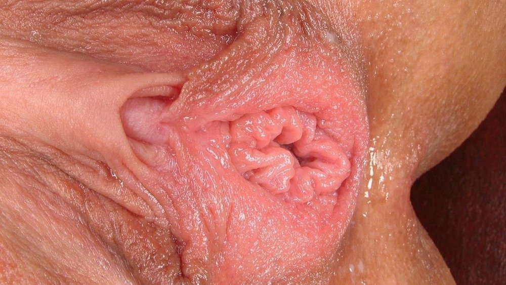 Beautiful female pussy