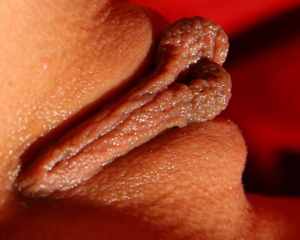 Beautiful female labia