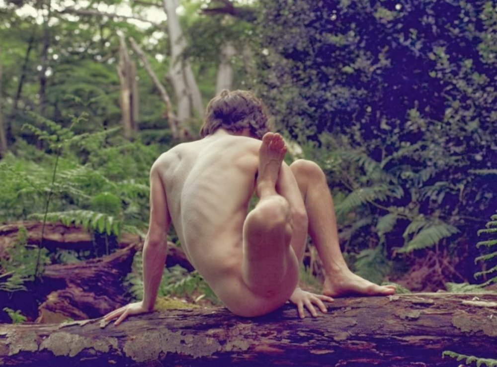 Men's photo shoot nude in nature