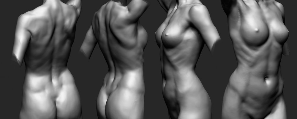 Anatomy of the female body Zbrush