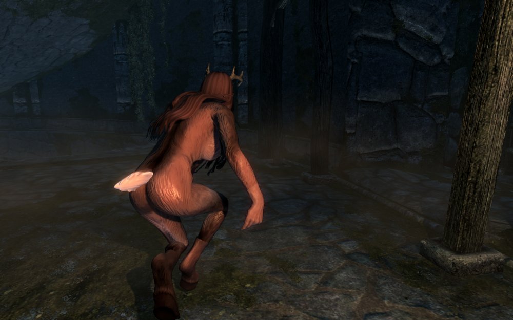 Skyrim Legendary Edition SexLab