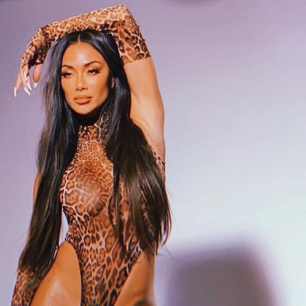 Nicole Scherzinger Bikini