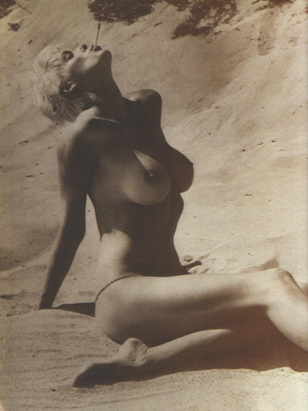 Brigitta Nielsen Playboy