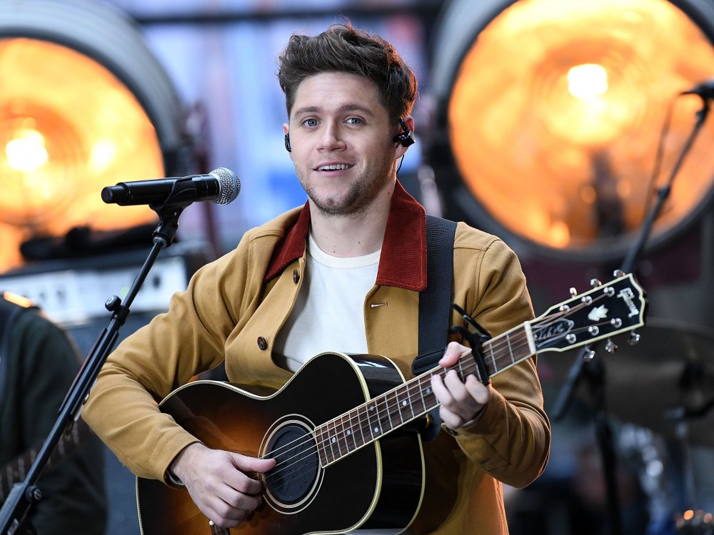 Niall Horan and Guitar