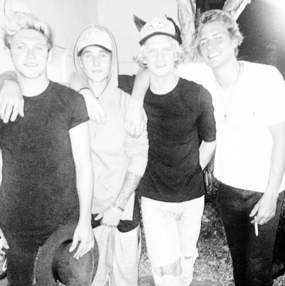 Picture Dear Diary Niall