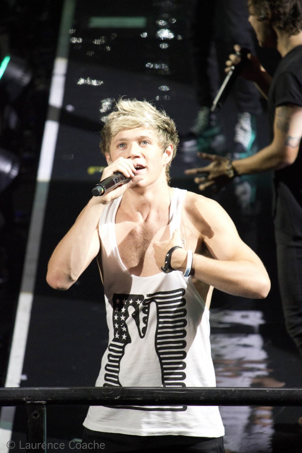 Niall Horan Chest