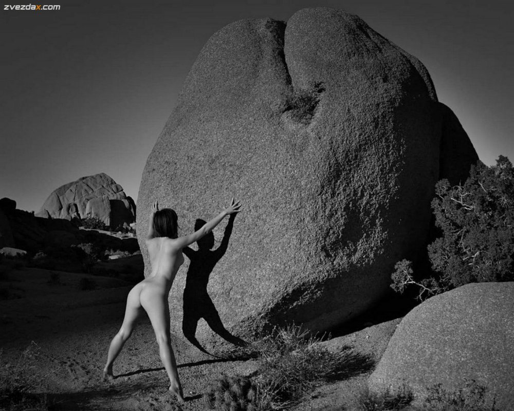 Nicole Mitchell Pornstar