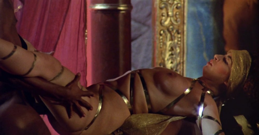 Bonnie Di Wilson Bonnie Dee Wilson