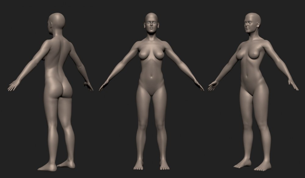 Anatomy of the female body Zbrush