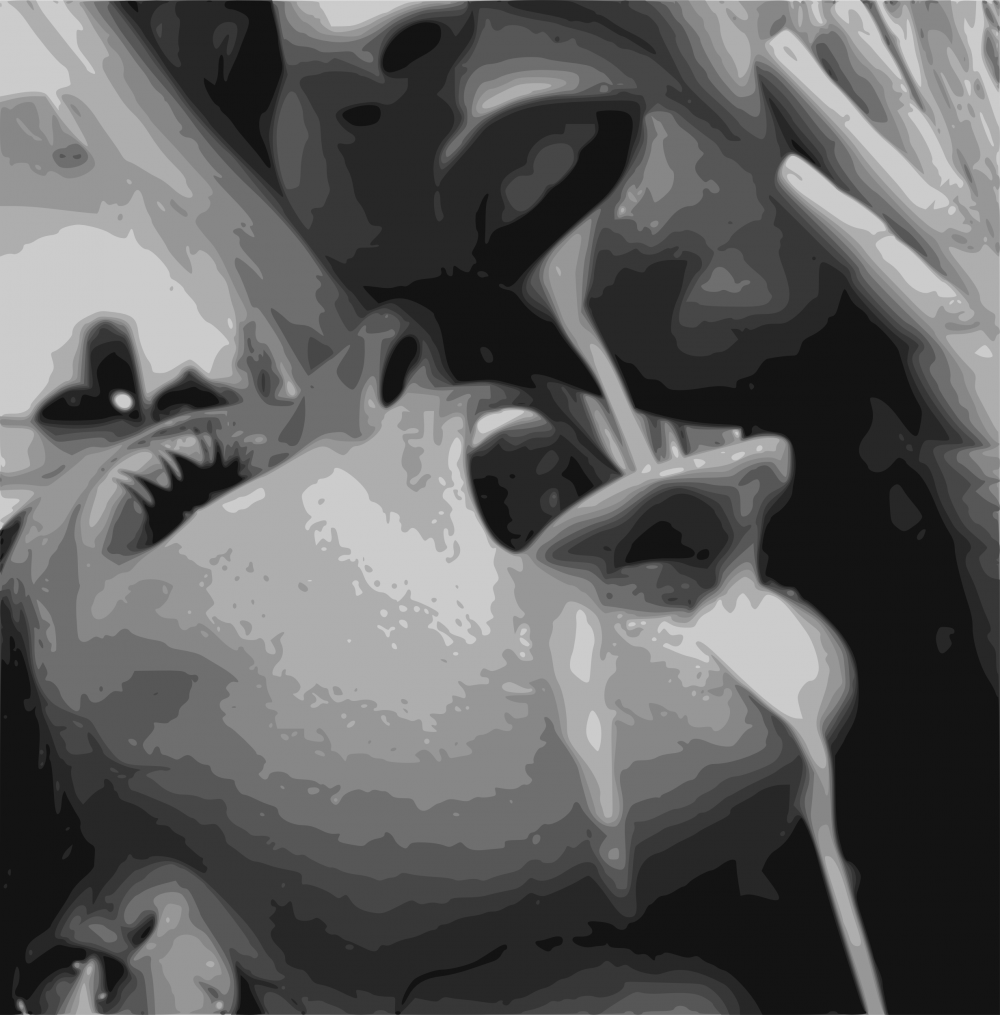 A selection of cumshots on the face