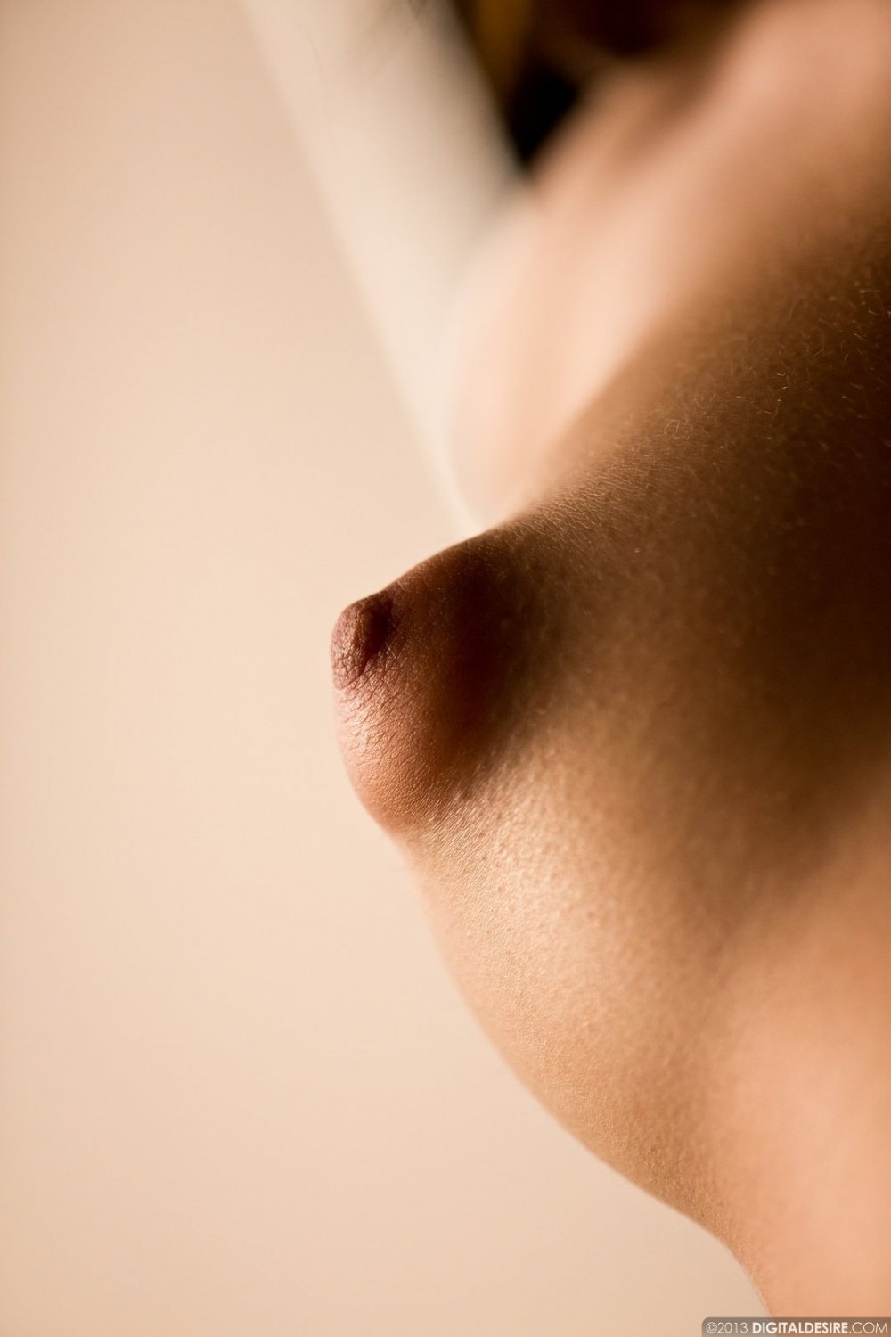 Beautiful female papillae