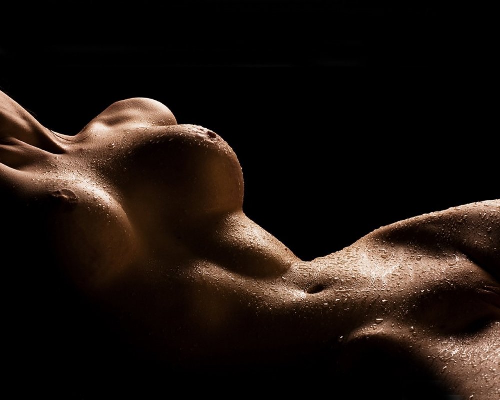 Beautiful female body nude