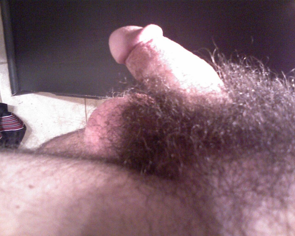 Hairy Penis Porn