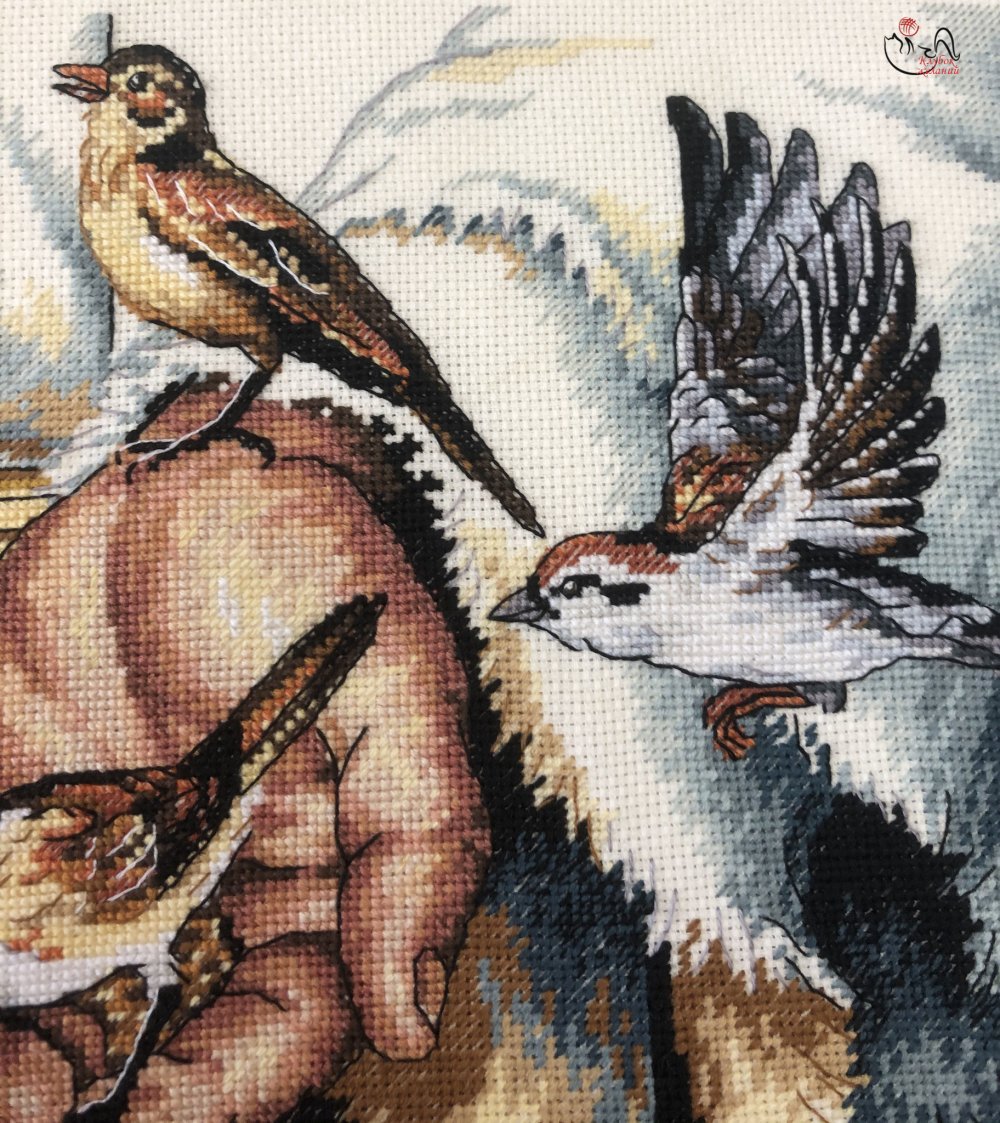 Emma mackey sex education