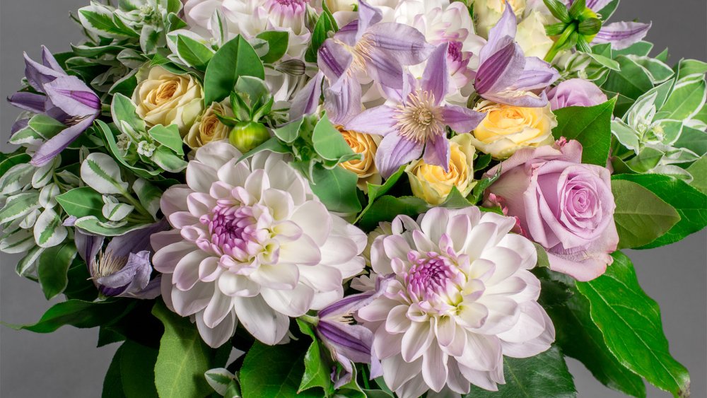 Elizabeth Georgina 18