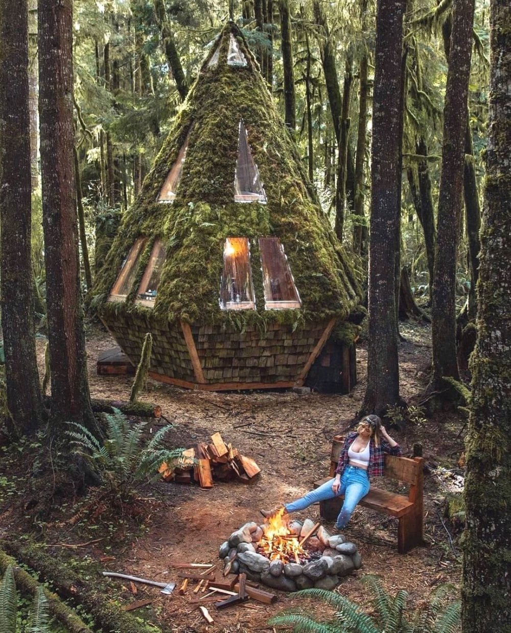 In the Cabin Woods hut in the Cabin forest