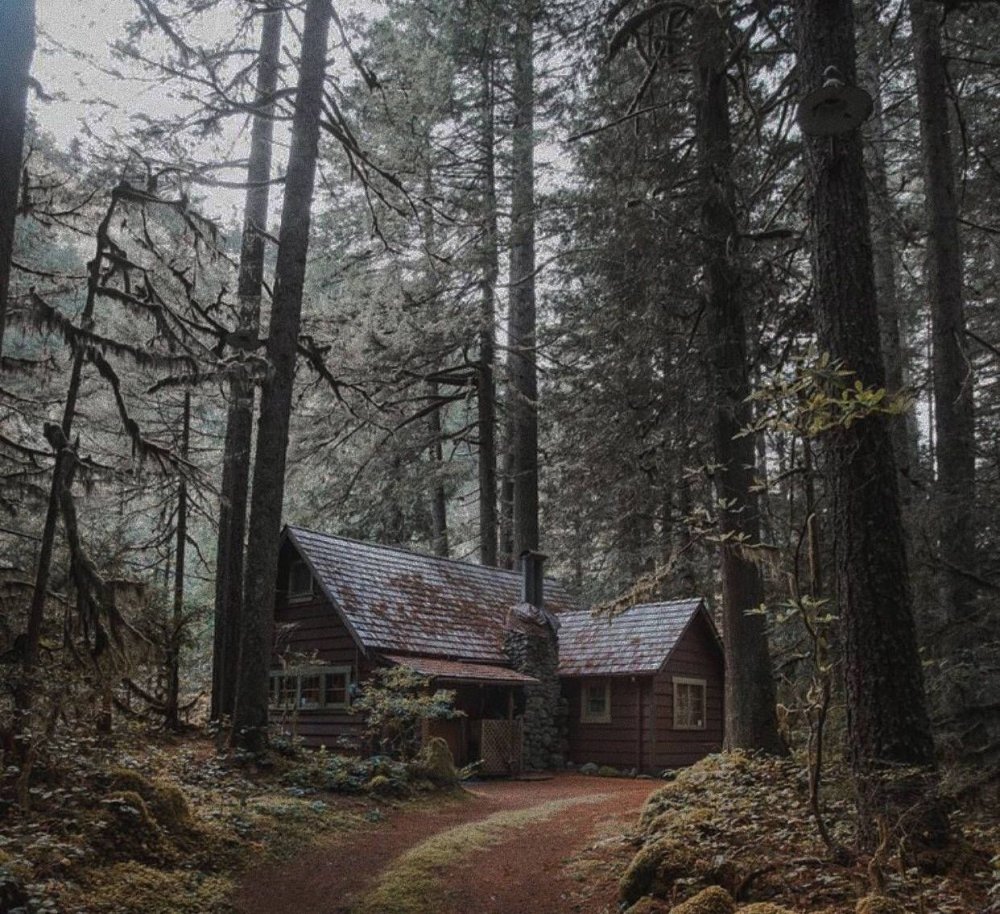 Secluded houses in the forest