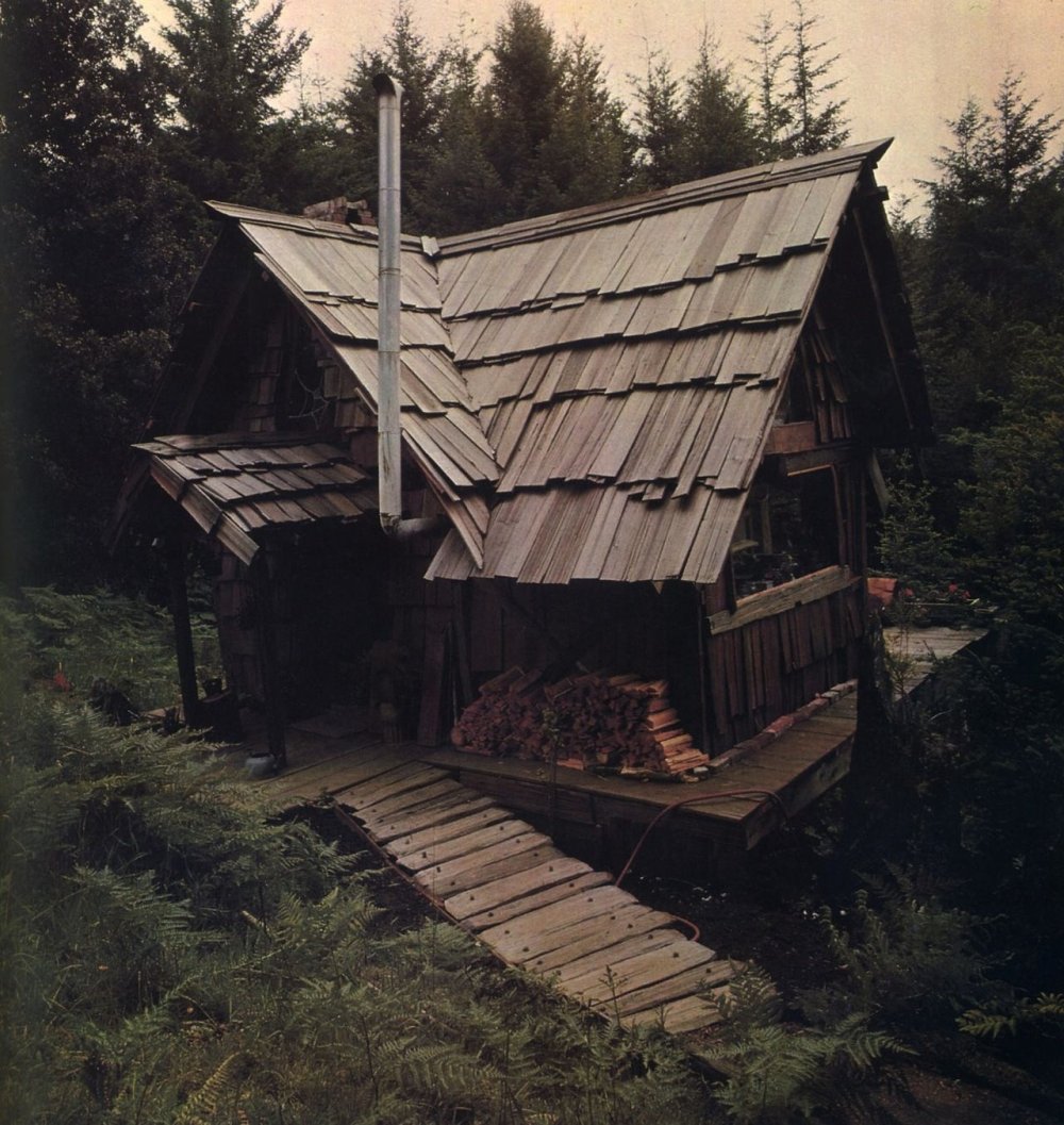 Hut in the forest Film 2012 Anna Hatchson