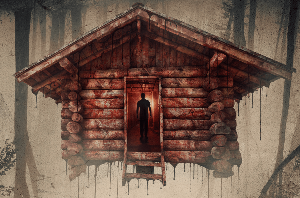 The Girl in Cabin 13