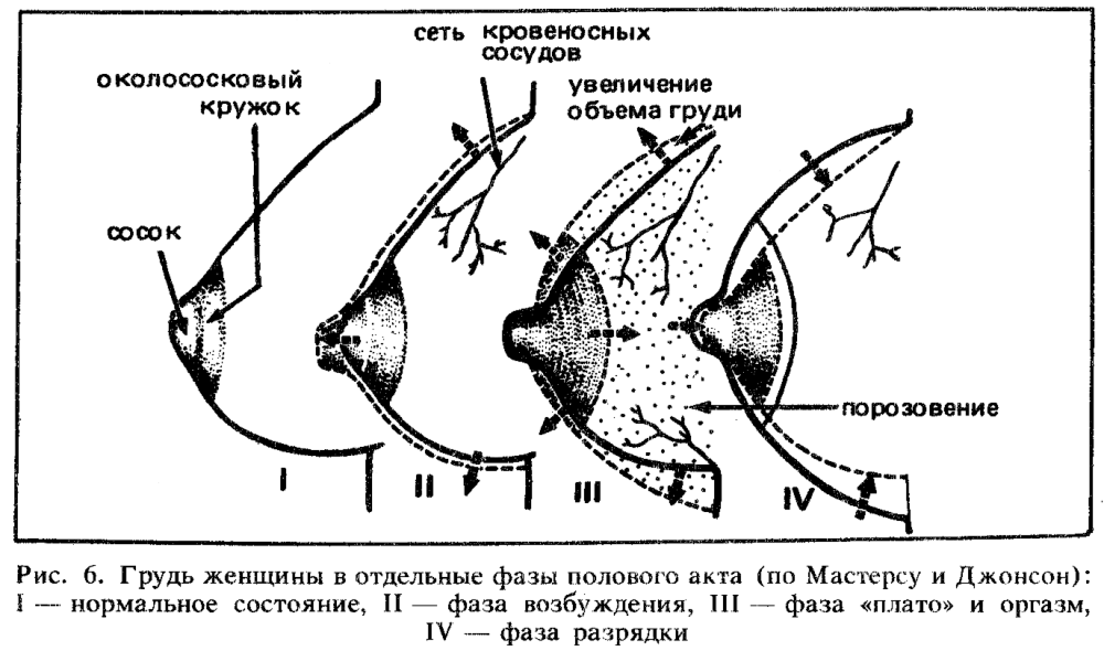 Scarlett Johansson chest gif