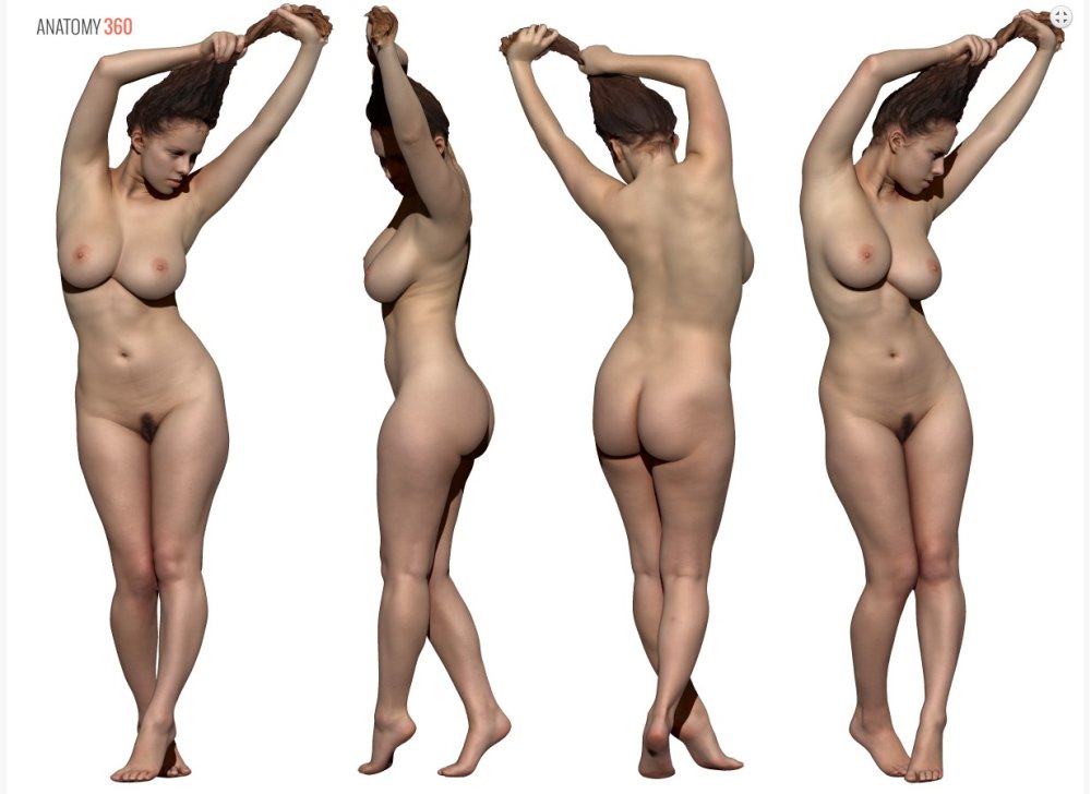 Beautiful female figures nude