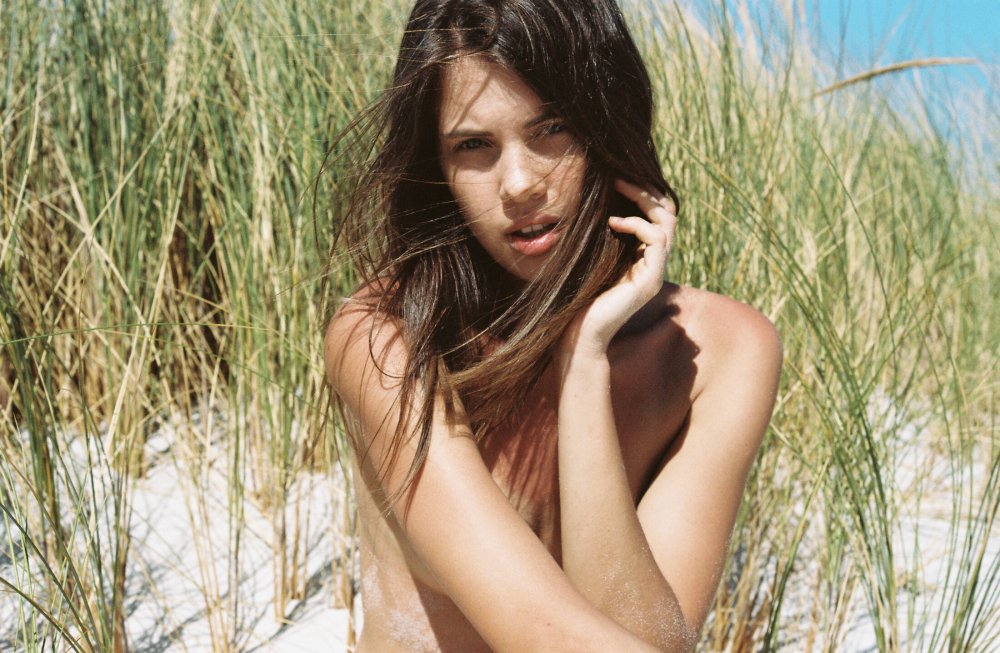 BPW 295x430 shock absorber