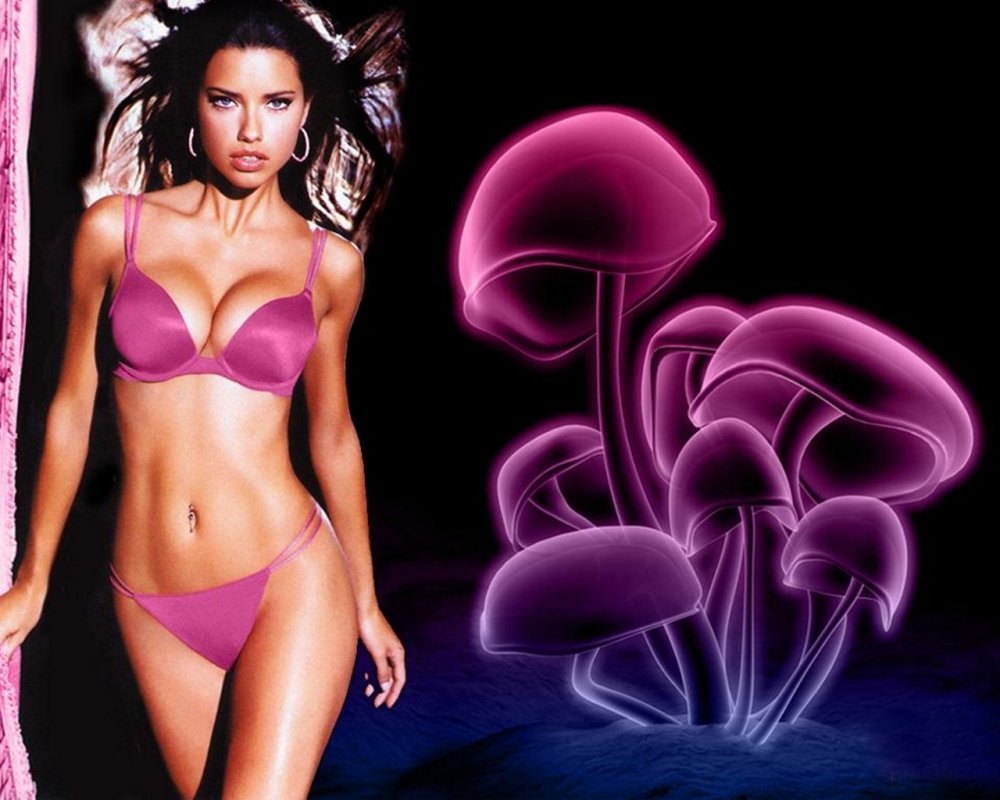Adriana Lima in lilac underwear