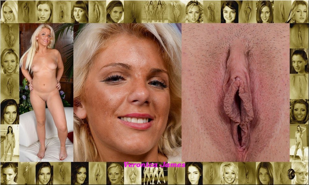 Beautiful female vaginas with face