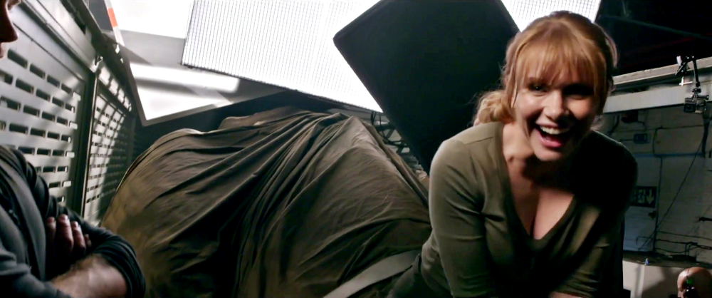 Bryce Dallas Hovard breast