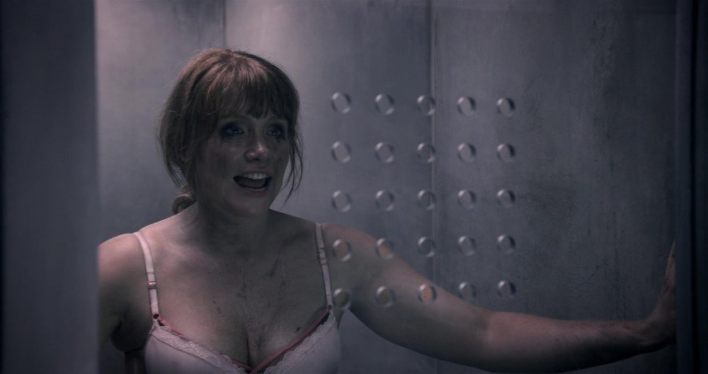 Bryce Dallas Hovard Park Yursky