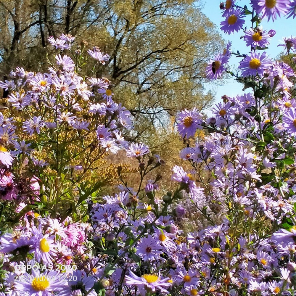 Oksana Sidorenko Fizruk