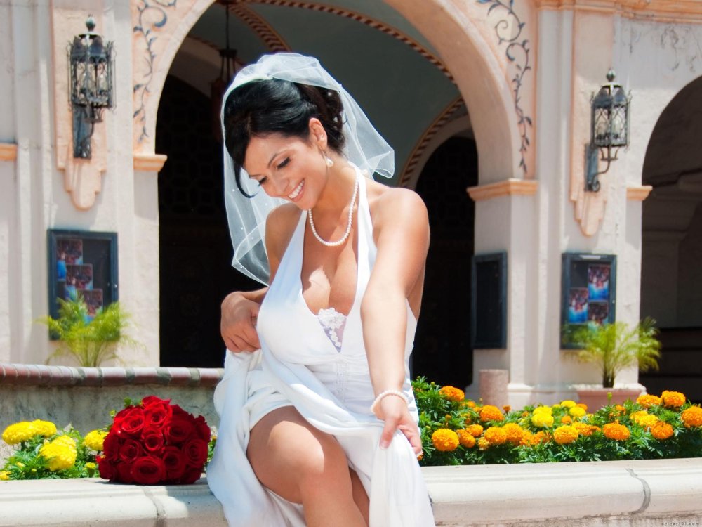 Denise Milani Wedding
