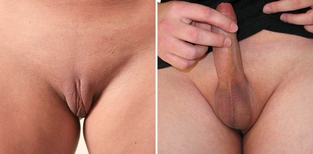 Men's and female genitals