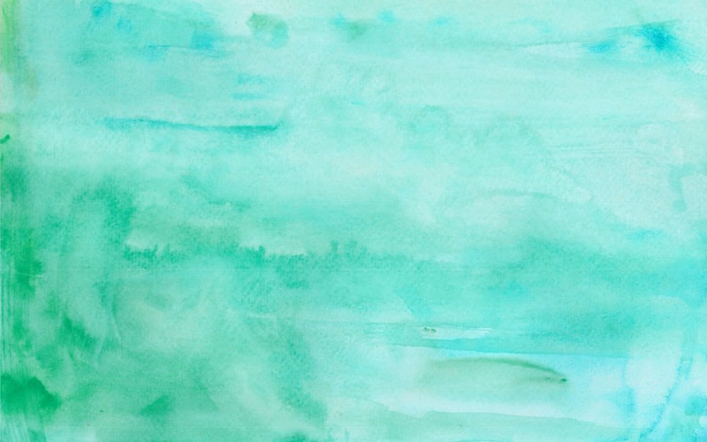 Van Pis Art Luffy and Zoro