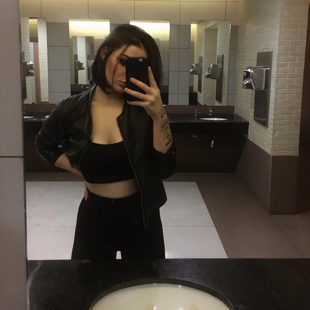 83.3702 voltage regulator connection circuit