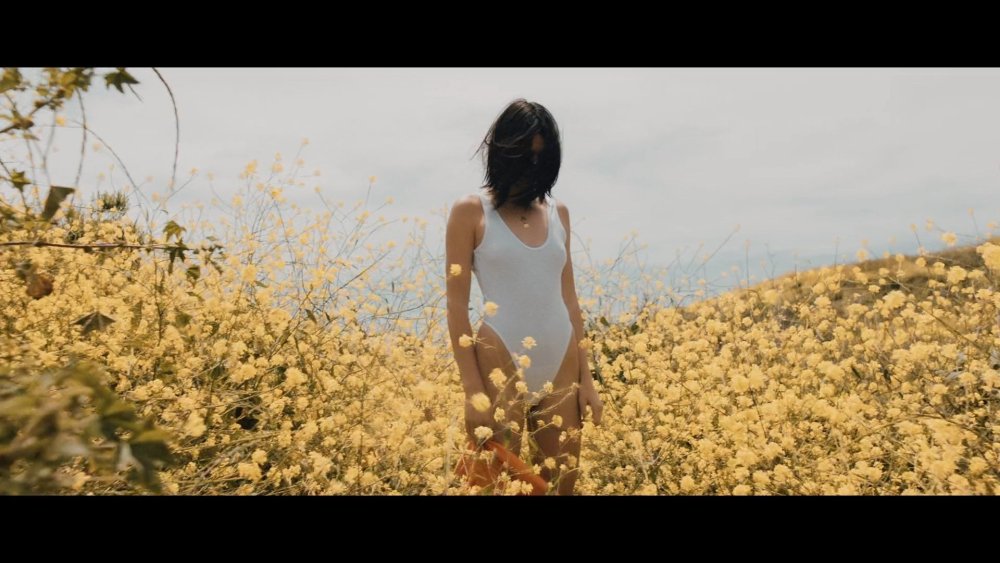 Kendall Jenner in sunflower