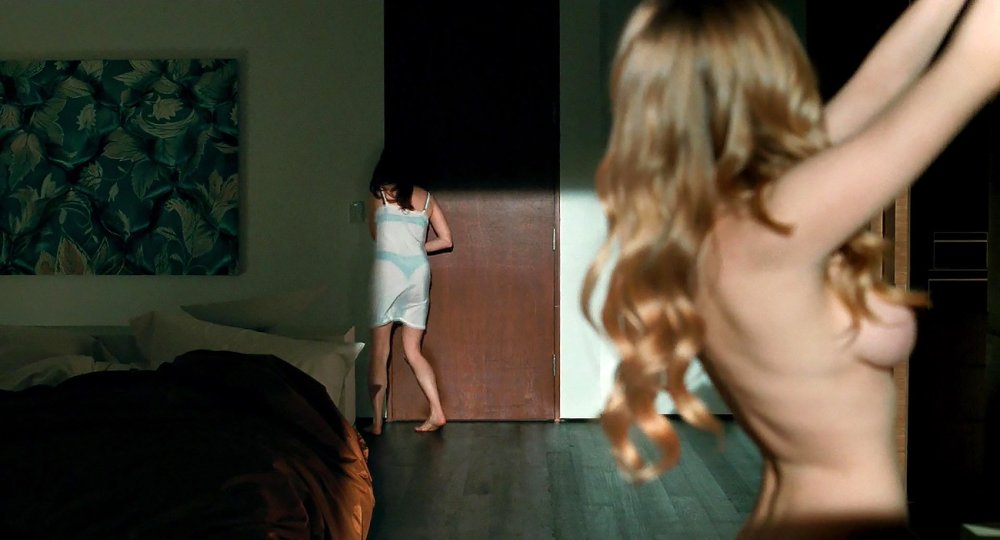 Amanda Seyfrid Nudenka in films