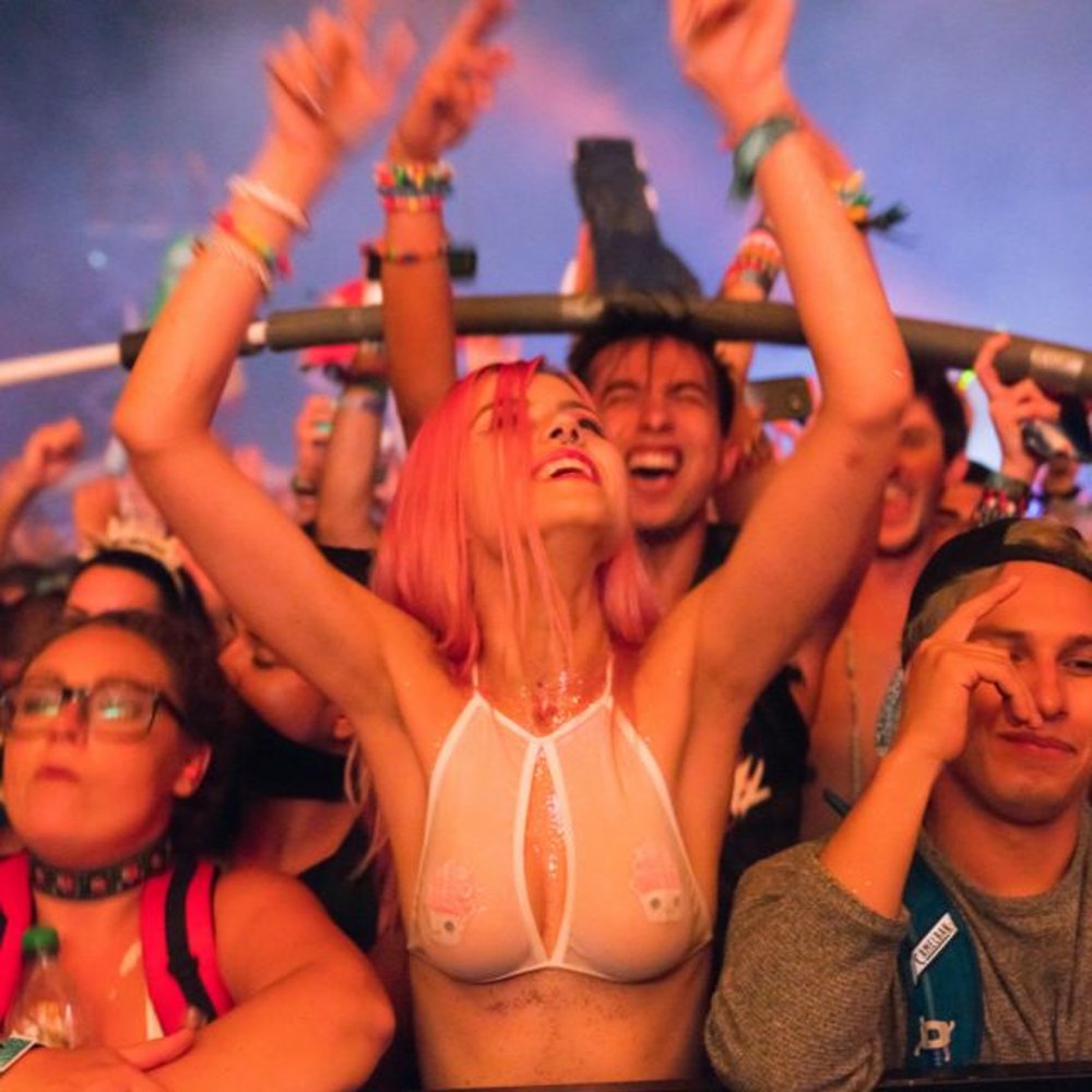 Porn studio festival