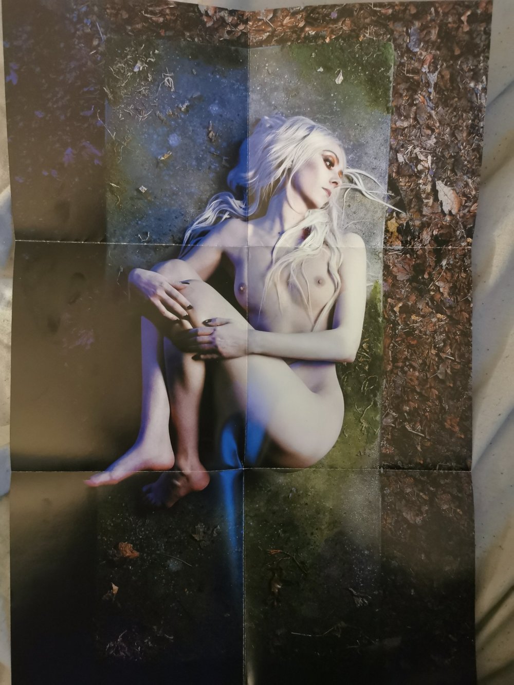 Taylor michel momsen