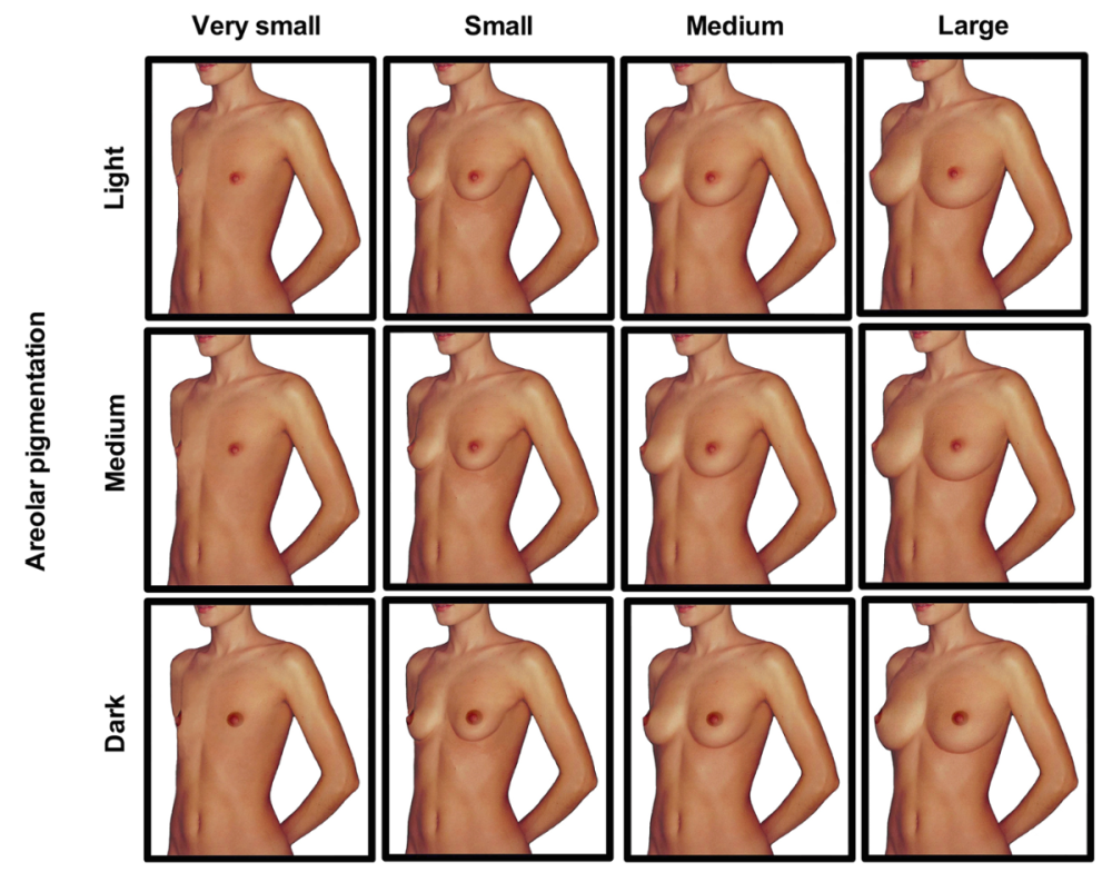 Naked female breasts of different sizes