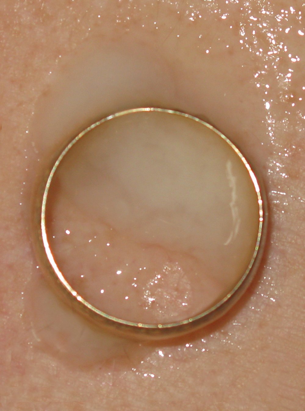 Working ring in a condom of a cuckold