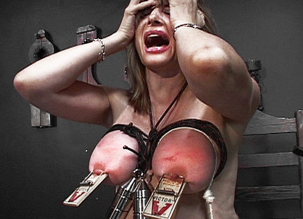 Breast torture devices