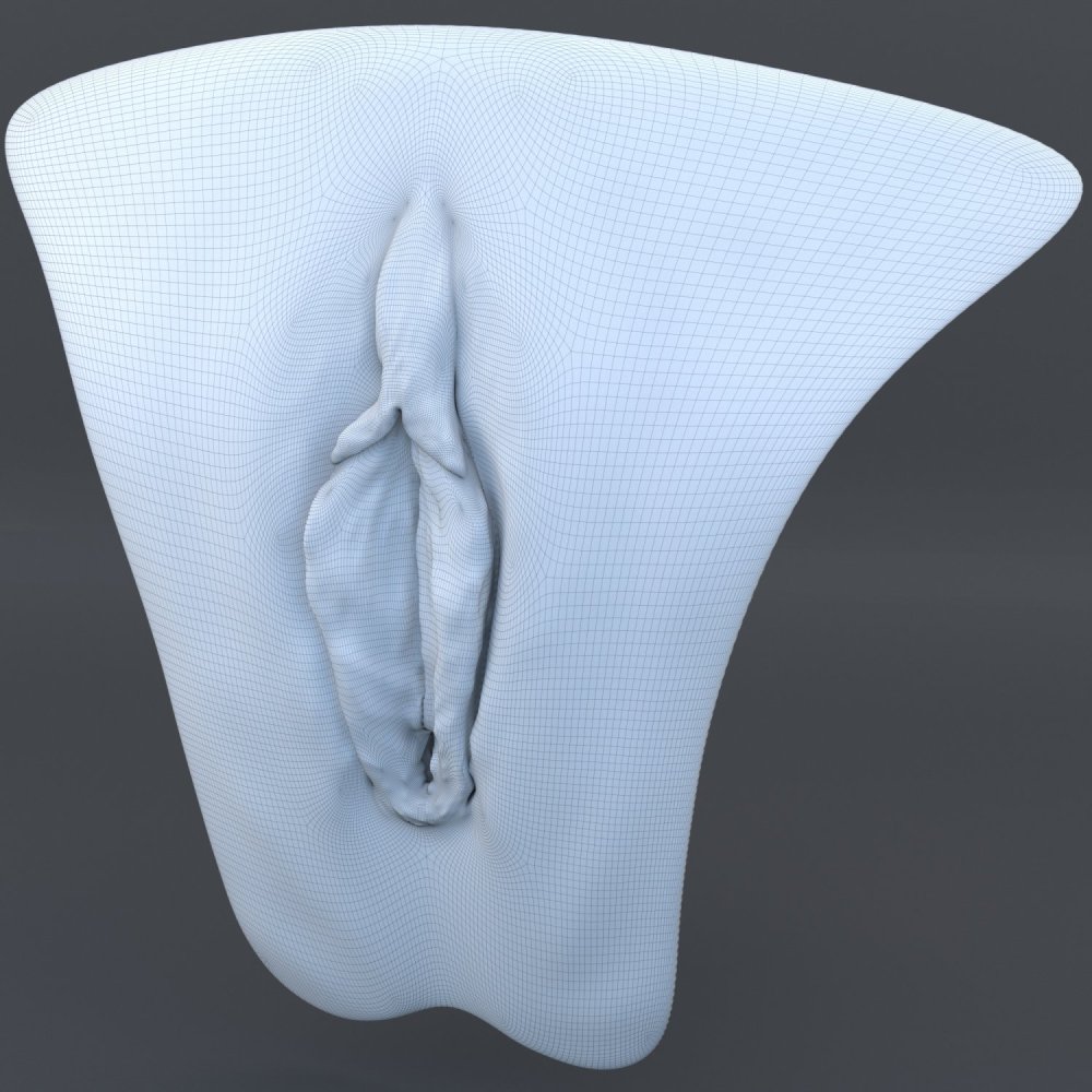 Vagina model for 3D printing