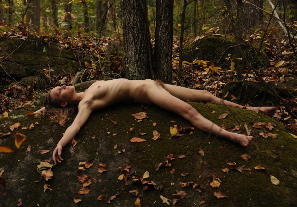 Merian Forest Ero photo