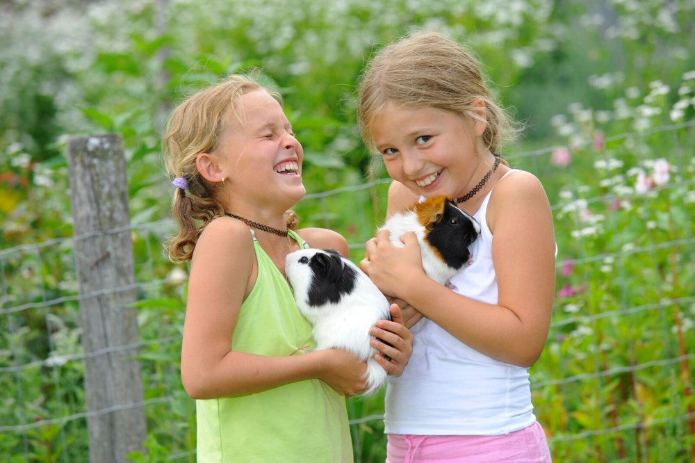 Mein Streichelbuch - Bauernhof