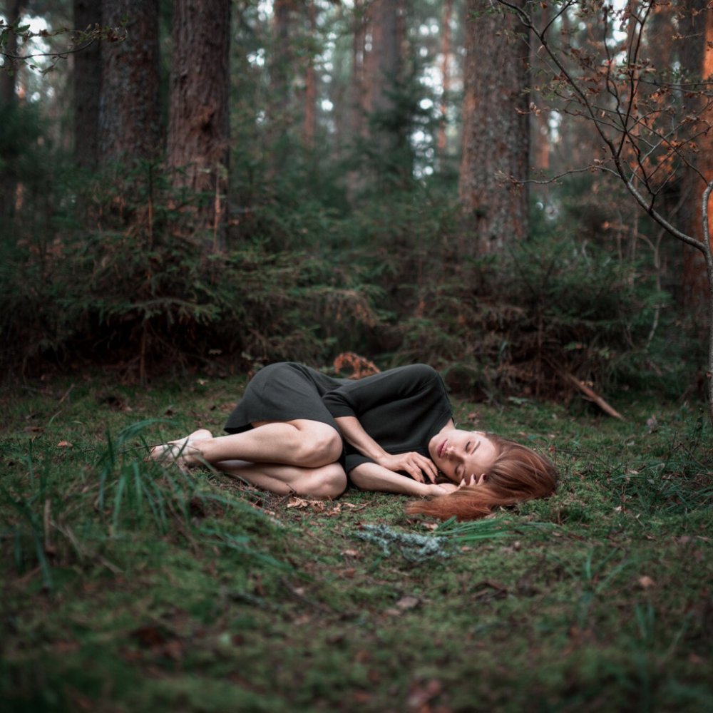 Sleep in the forest