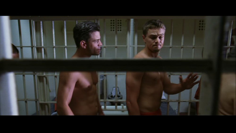 Leonardo DiCaprio Gay?